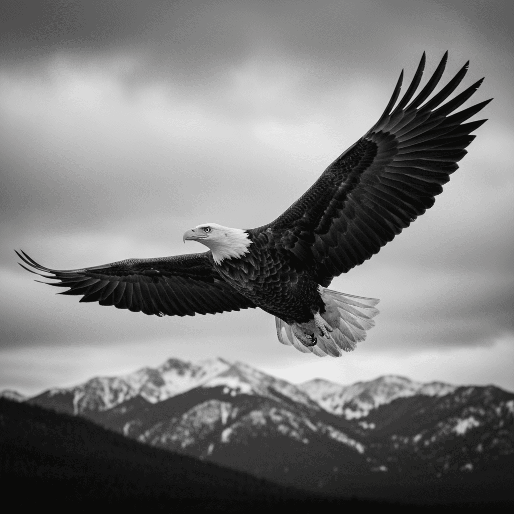 black & white eagle